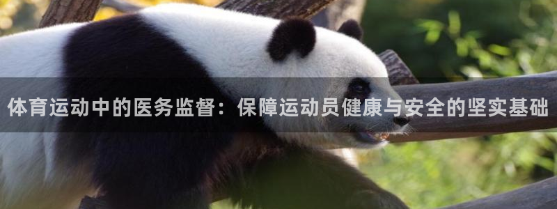意昂5Kgamekgame：体育运动中的医务监督：保障运动员健康与安全的坚实基础