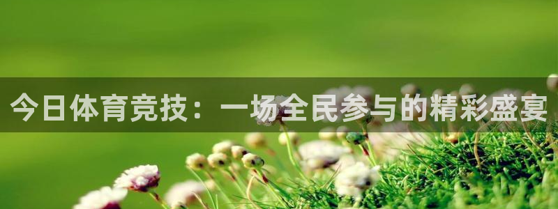 意昂5Kgame2代理注册：今日体育竞技：一场全民参与的精彩盛宴