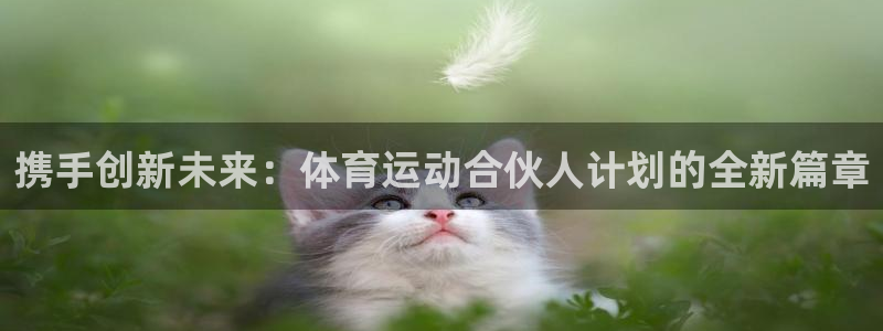 意昂5Kgame3登陆：携手创新未来：体育运动合伙人计划的全新篇章