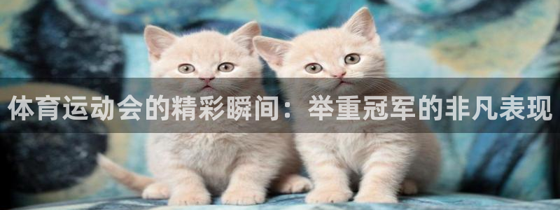 意昂5Kgame2平台：体育运动会的精彩瞬间：举重冠军的非凡表现