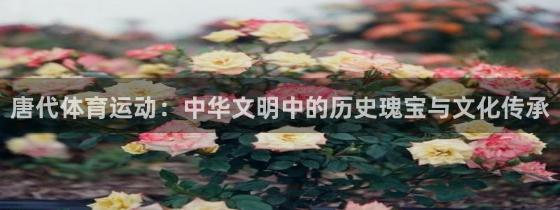 意昂5Kgame凯捷平台注册链接：唐代体育运动：中华文明中的历史瑰宝与文化传承