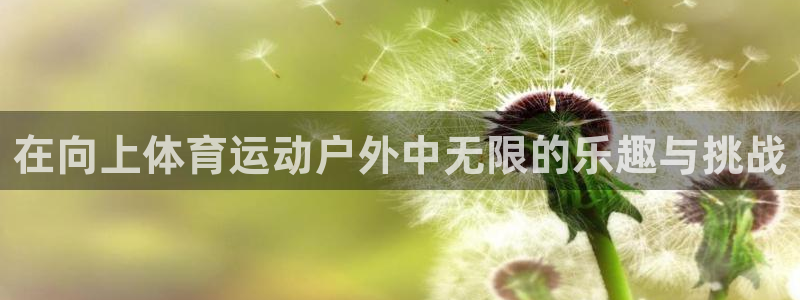 意昂5Kgame主管：在向上体育运动户外中无限的乐趣与挑战