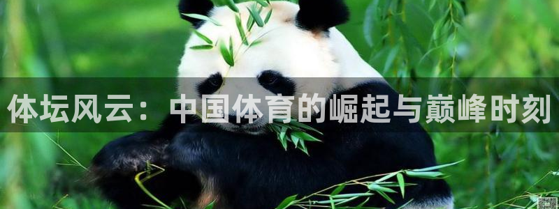 意昂5Kgame主管：体坛风云：中国体育的崛起与巅峰时刻
