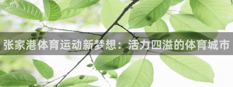意昂5Kgame2官网：张家港体育运动新梦想：活力四溢的体育城市