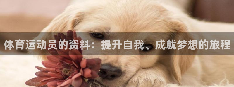 意昂5Kgame2登录地址：体育运动员的资料：提升自我、成就梦想的旅程