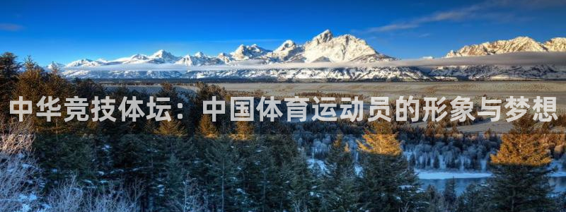 意昂5Kgamevk：中华竞技体坛：中国体育运动员的形象与梦想