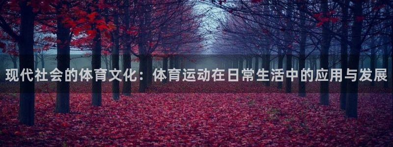 意昂5Kgame体育官网：现代社会的体育文化：体育运动在日常生活中的应用与发展