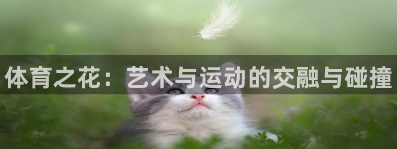 意昂5Kgame2体育：体育之花：艺术与运动的交融与碰撞