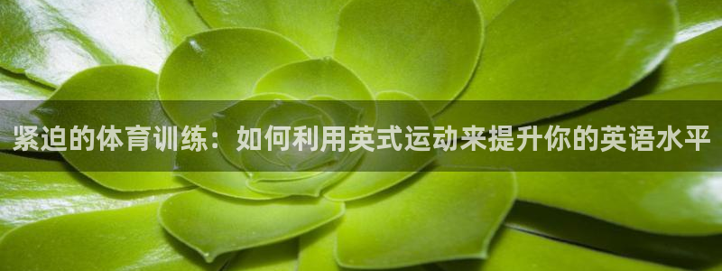 意昂5Kgame体育：紧迫的体育训练：如何利用英式运动来提升你的英语水平
