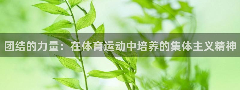 意昂5Kgame体育在线注册：团结的力量：在体育运动中培养的集体主义精神