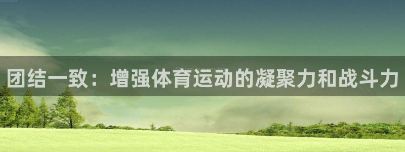 意昂5Kgame5招商：团结一致：增强体育运动的凝聚力和战斗力