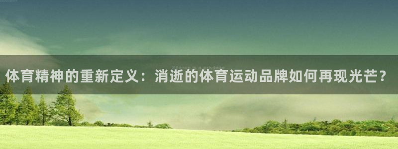 意昂5Kgame体育官网登录：体育精神的重新定义：消逝的体育运动品牌如何再现光芒