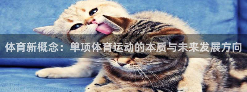 意昂5Kgame体育游戏：体育新概念：单项体育运动的本质与未来发展方向