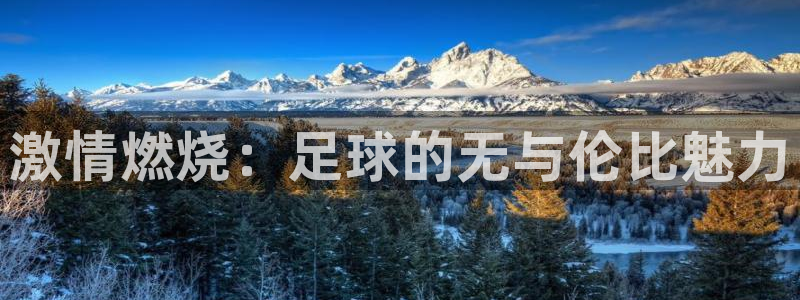 意昂5Kgame3登陆：激情燃烧：足球的无与伦比魅力