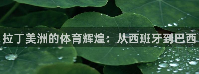 意昂5Kgame代理：拉丁美洲的体育辉煌：从西班牙到巴西