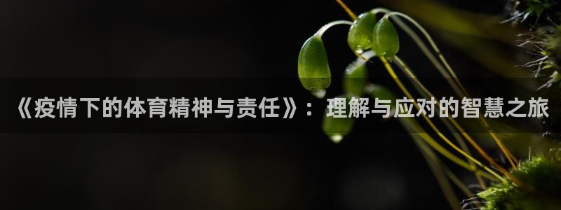 意昂5kgame平台：《疫情下的体育精神与责任》：理解与应对的智慧之旅